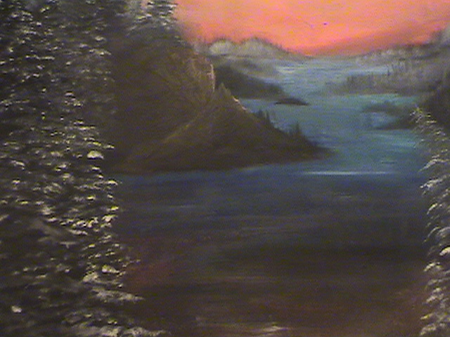 Vancouver Pines Painting